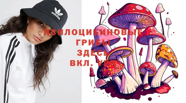 метамфетамин Алексеевка
