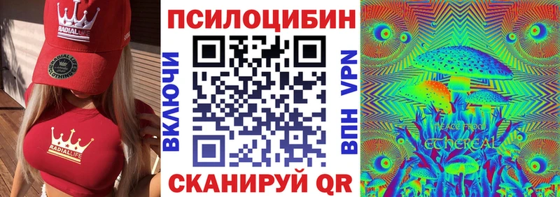 Псилоцибиновые грибы Cubensis  Урай 
